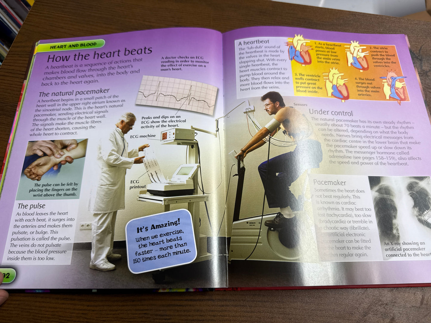 Children's Human Body Encyclopedia