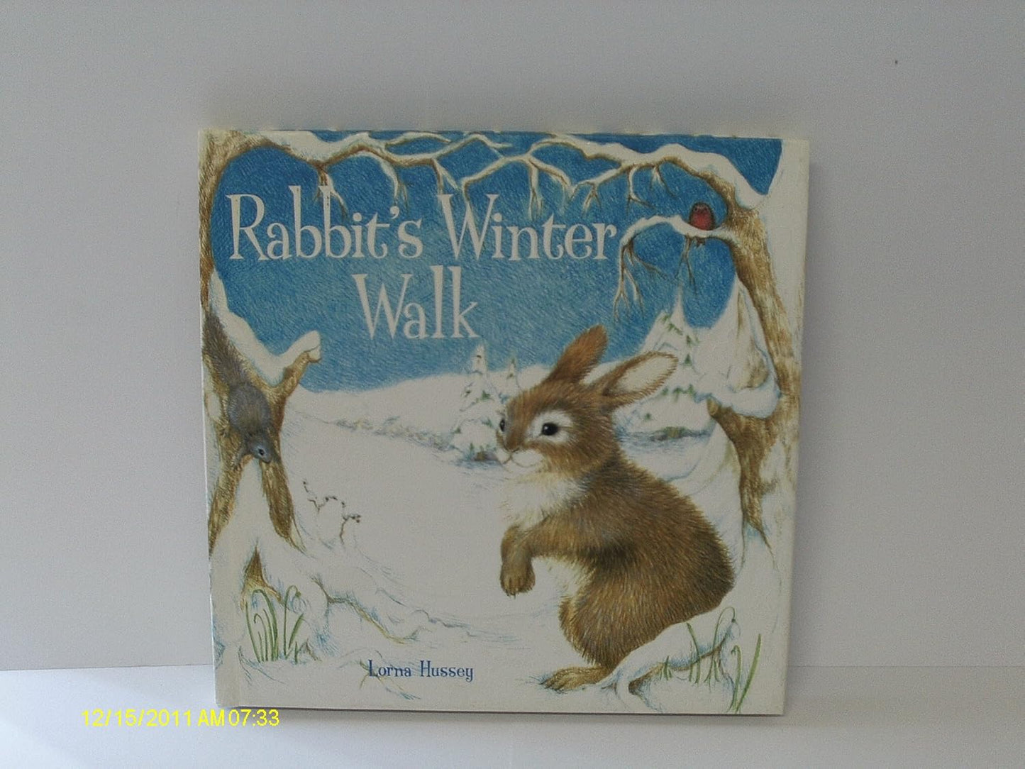 Rabbit's Winter Walk Hardcover