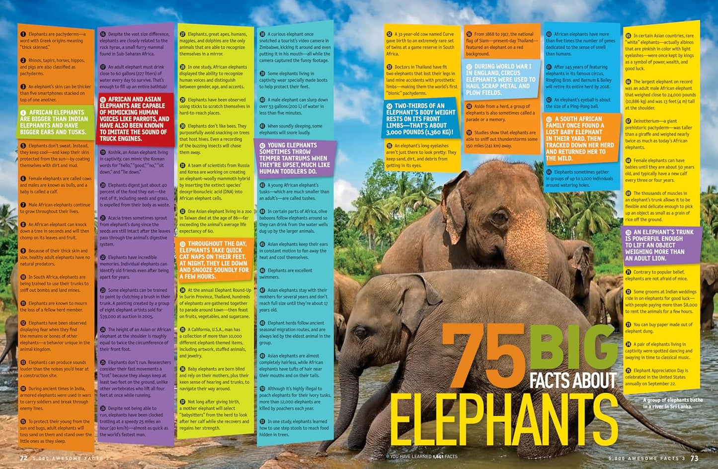 5,000 Awesome Facts (About Everything!)