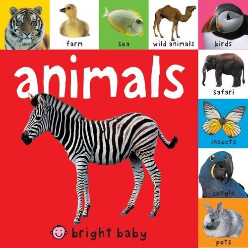 Animals: Lift The Tab Books