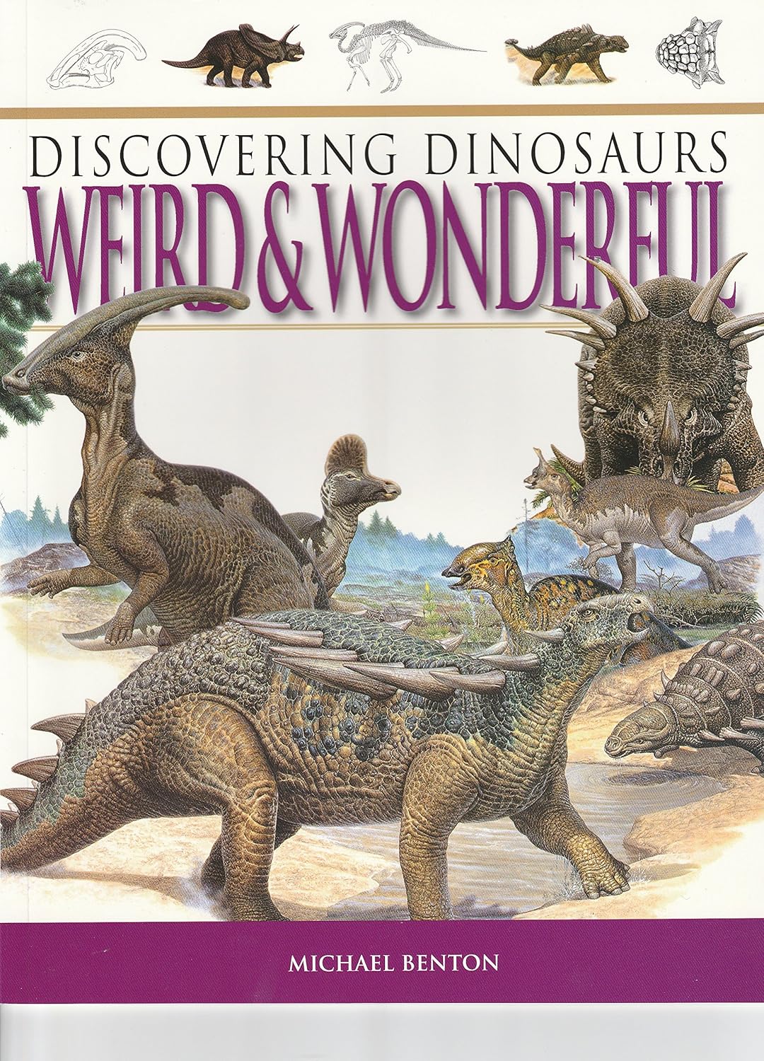 Discovering Dinosaurs Weird And Wonderful
