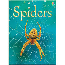 Spiders