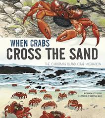 When Crabs Cross the Sand
