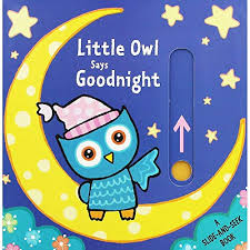 Little Owl Says Goodnight (Slide & Seek)
