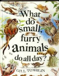What Do Small, Furry Animals Do All Day? Hardcover