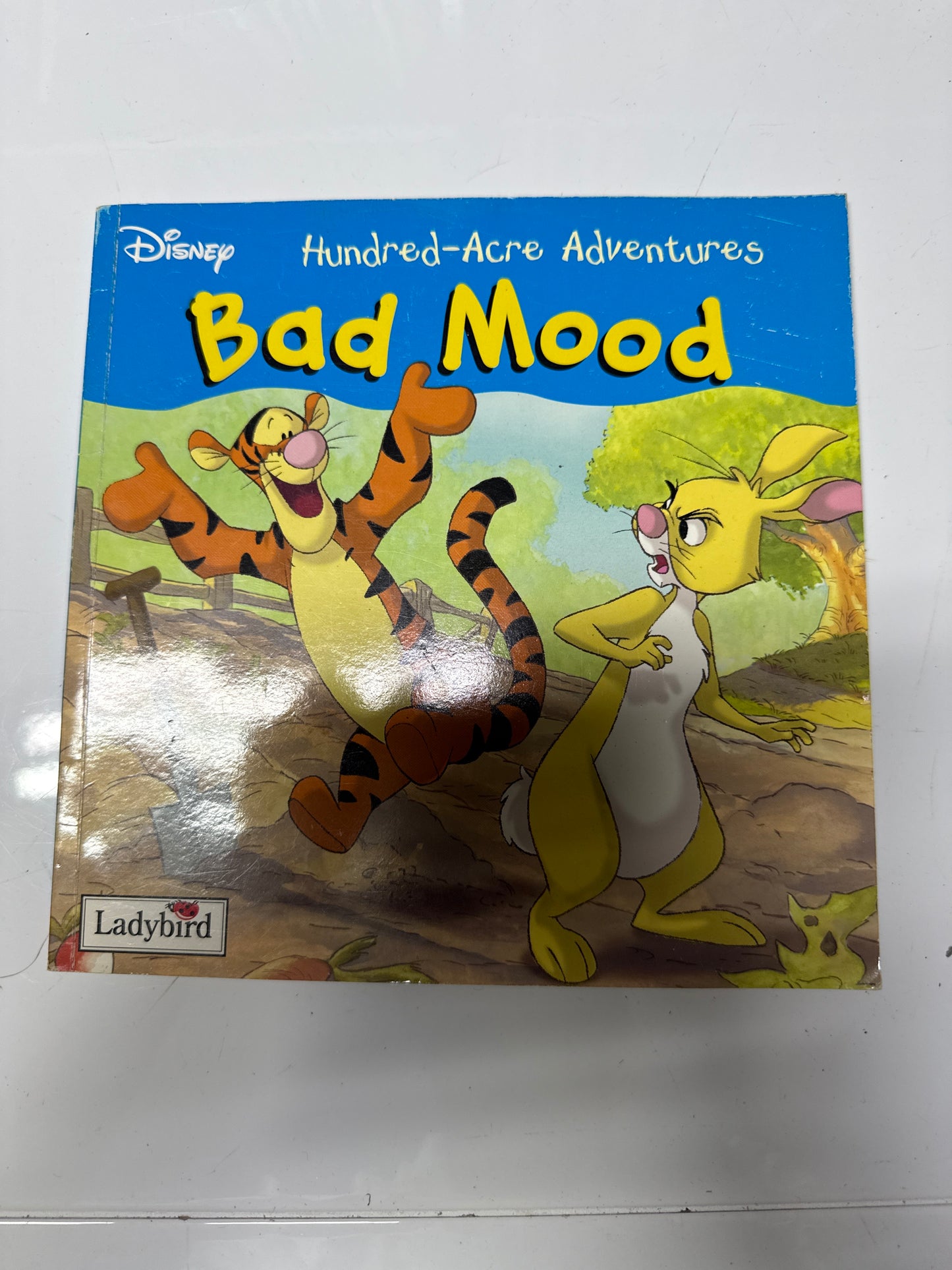 Winnie the Pooh: Bad Mood