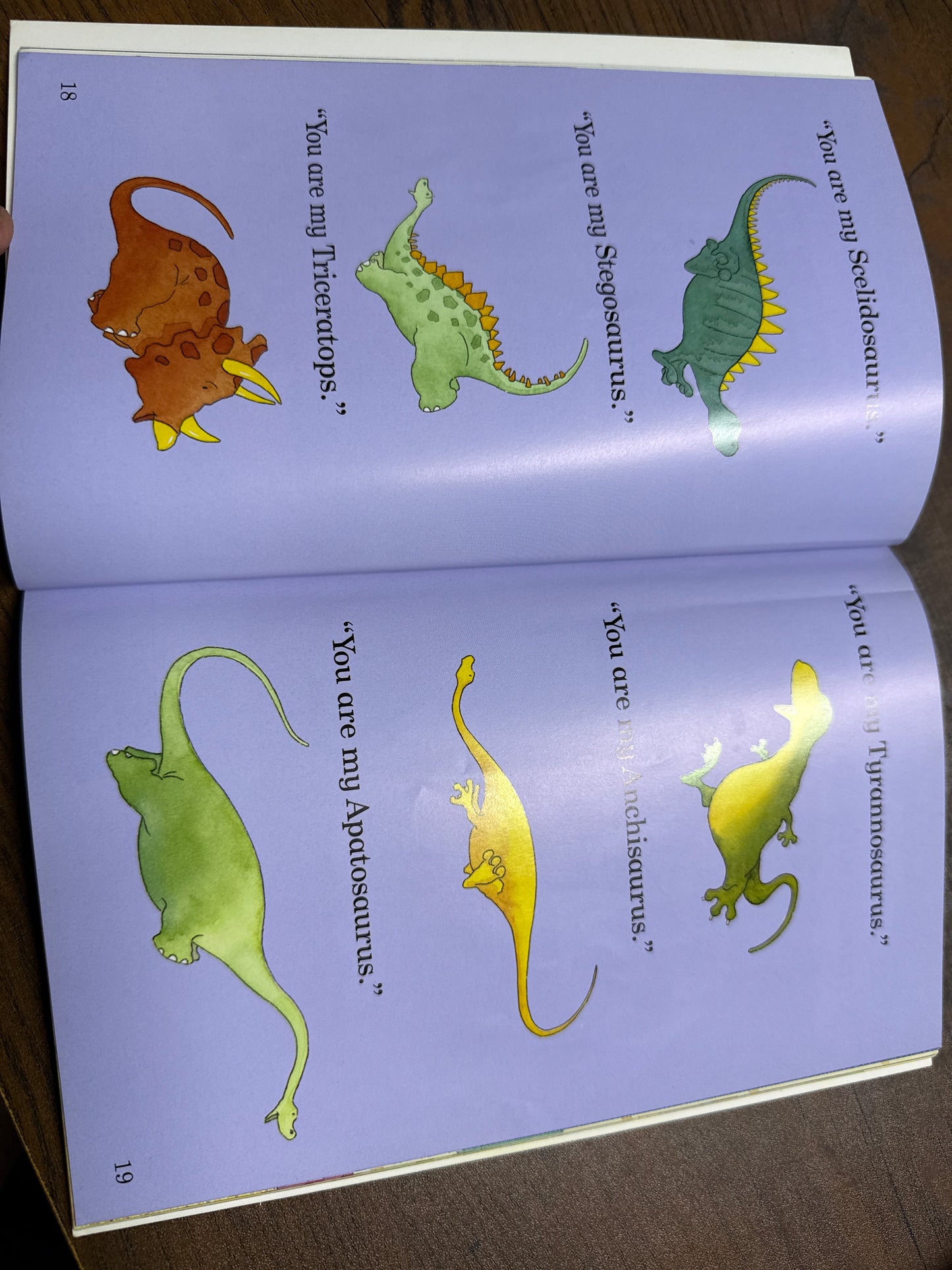 Harry and the Bucketful of Dinosaurs