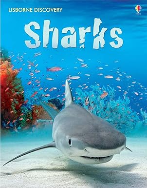 Sharks - Usborne Discovery
