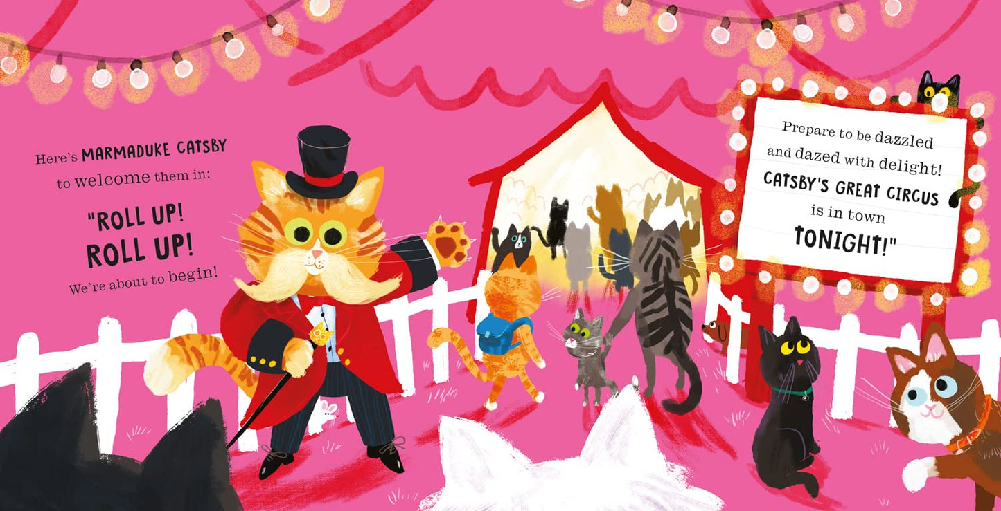 Cats in Chaos