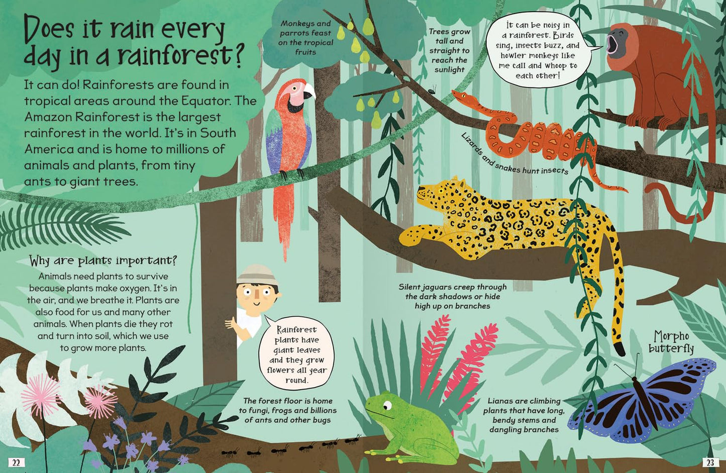 Curious Questions Answers about Our Planet