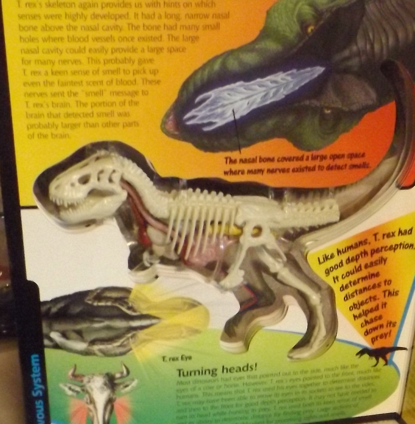 Uncover a T-Rex: An Uncover It Book
