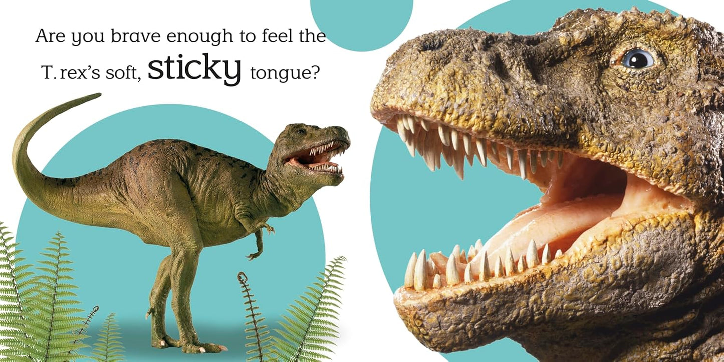 Touch and Feel: Dinosaur