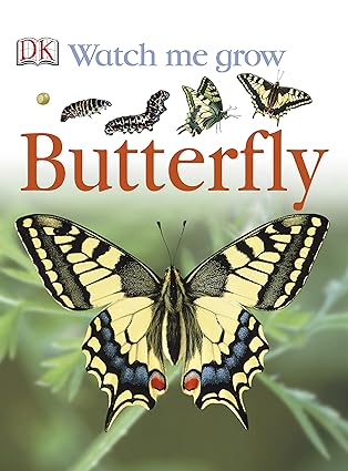 Butterfly Hardcover