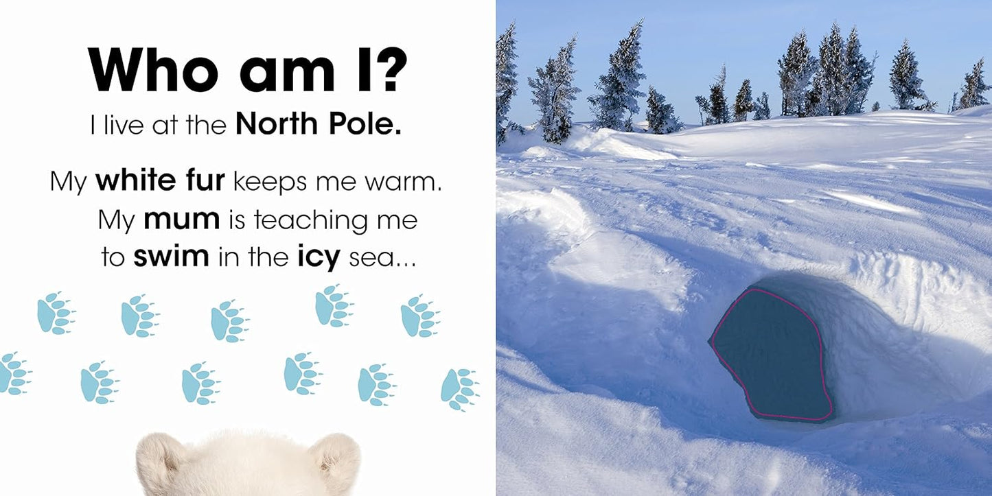 Who am I? Snowy Animals