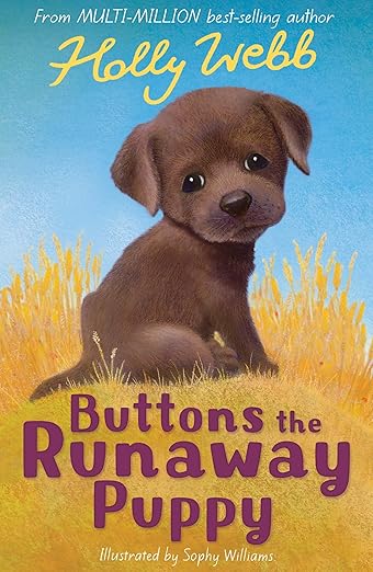 Buttons the Runaway Puppy (Holly Webb Animal Stories)