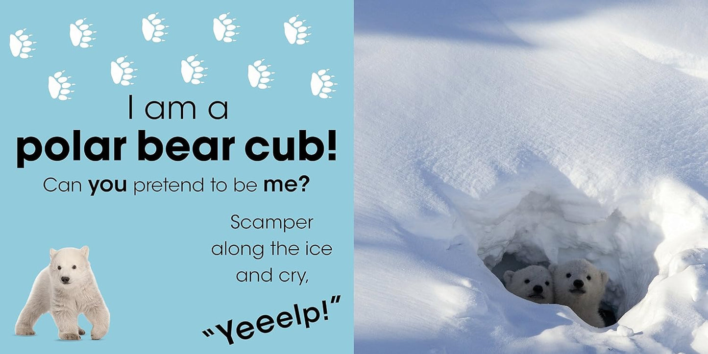 Who am I? Snowy Animals