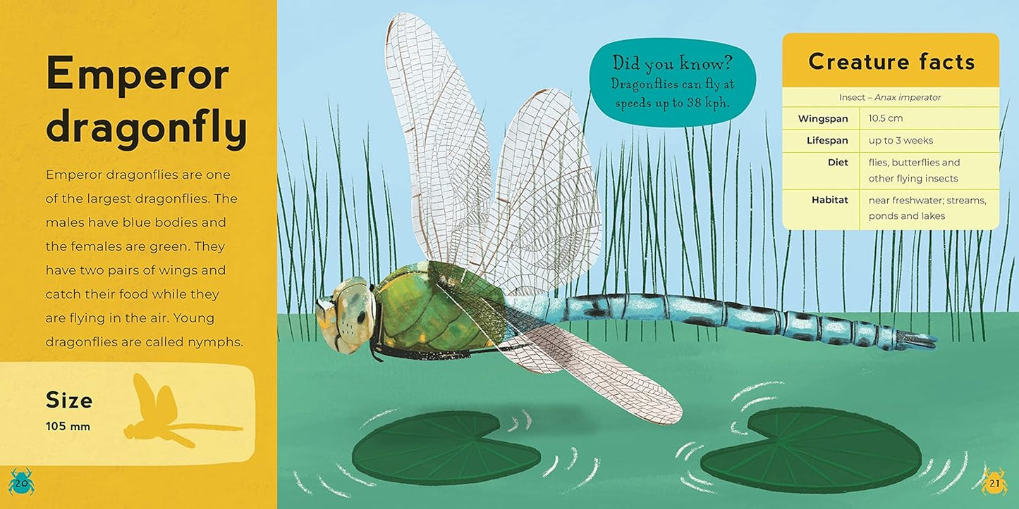 My First Book of Minibeasts
