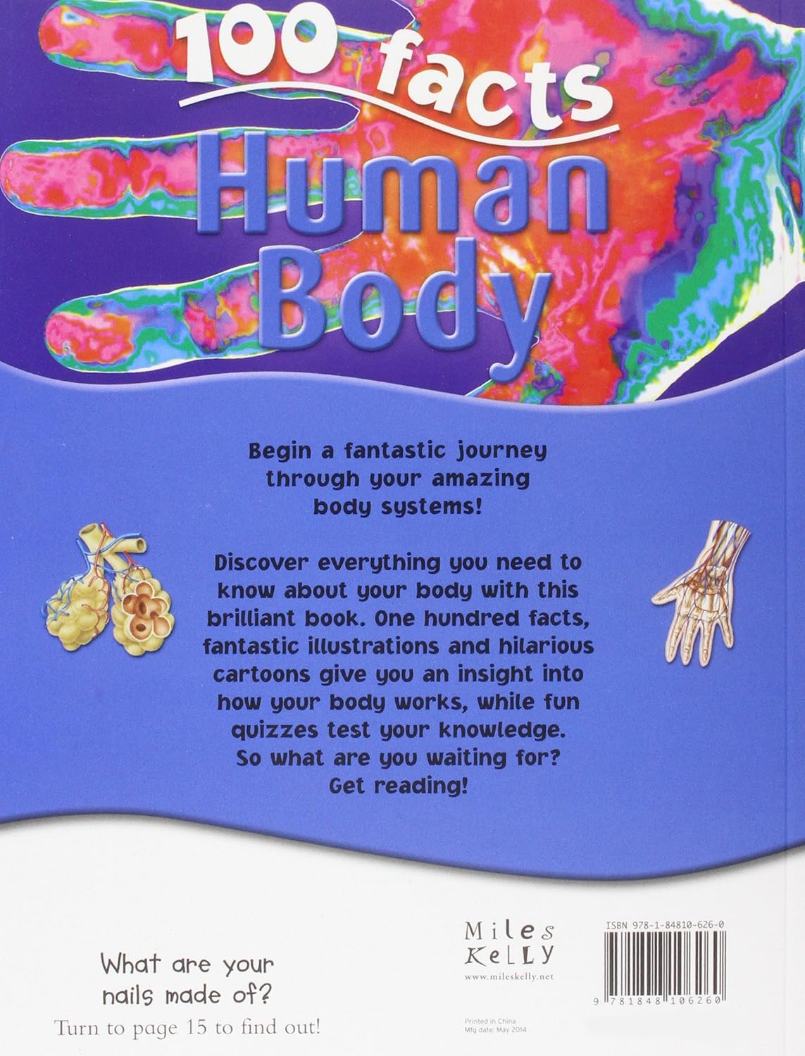 100 Facts - Human Body