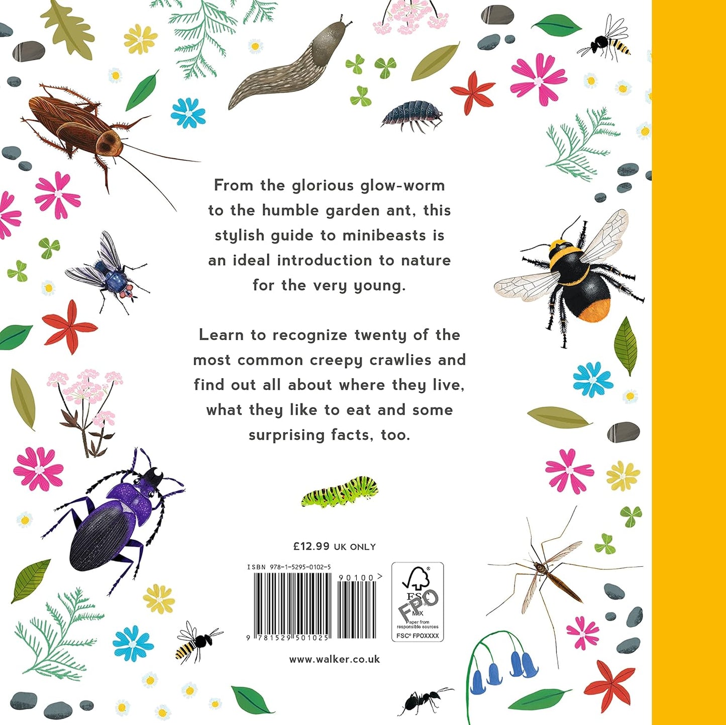 My First Book of Minibeasts