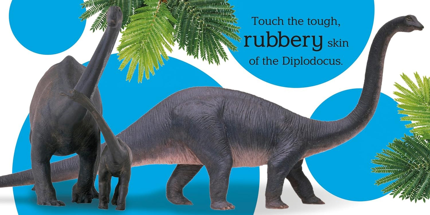 Touch and Feel: Dinosaur
