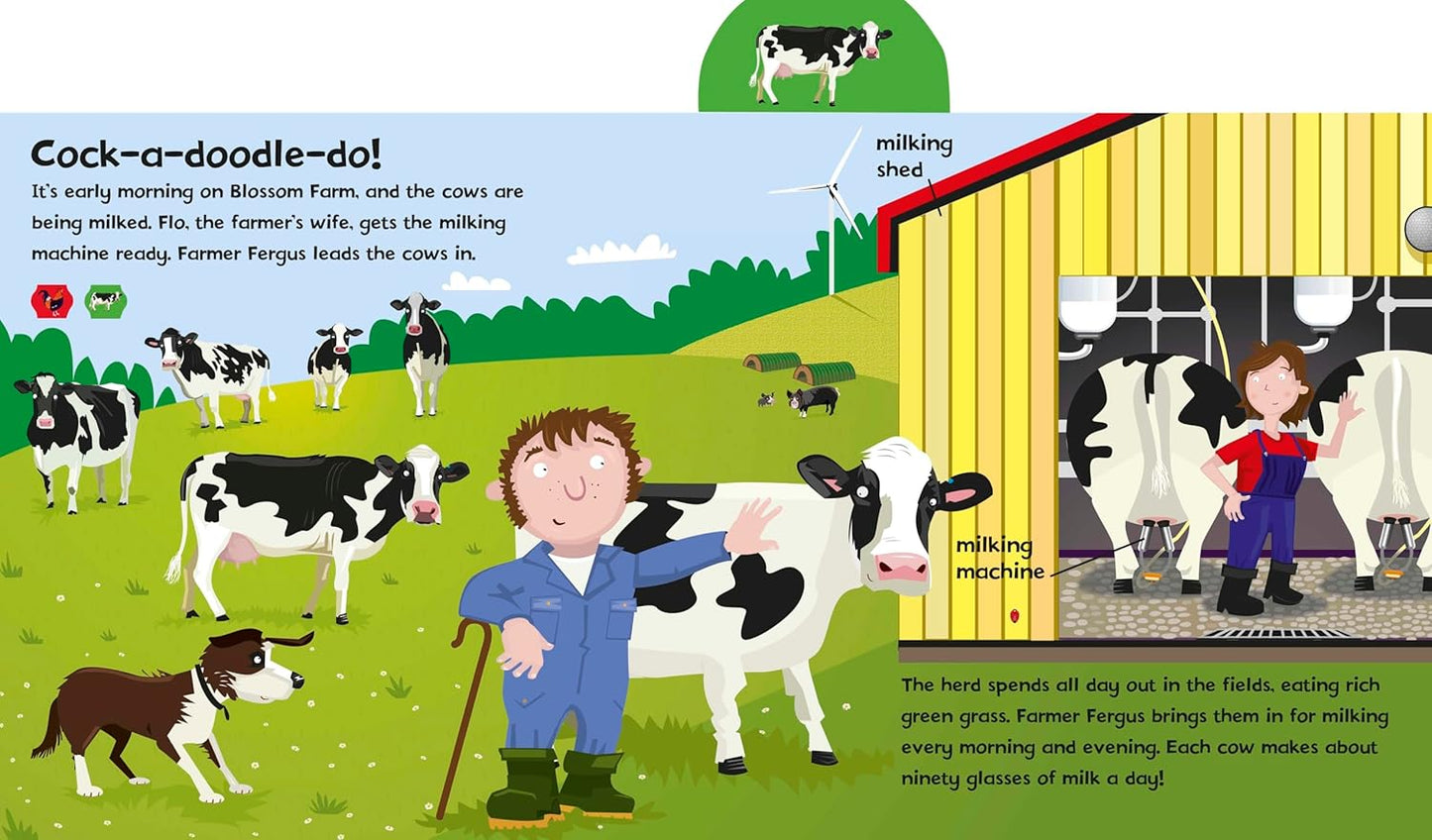 Farm Hullabaloo! Ladybird Big Noisy Book