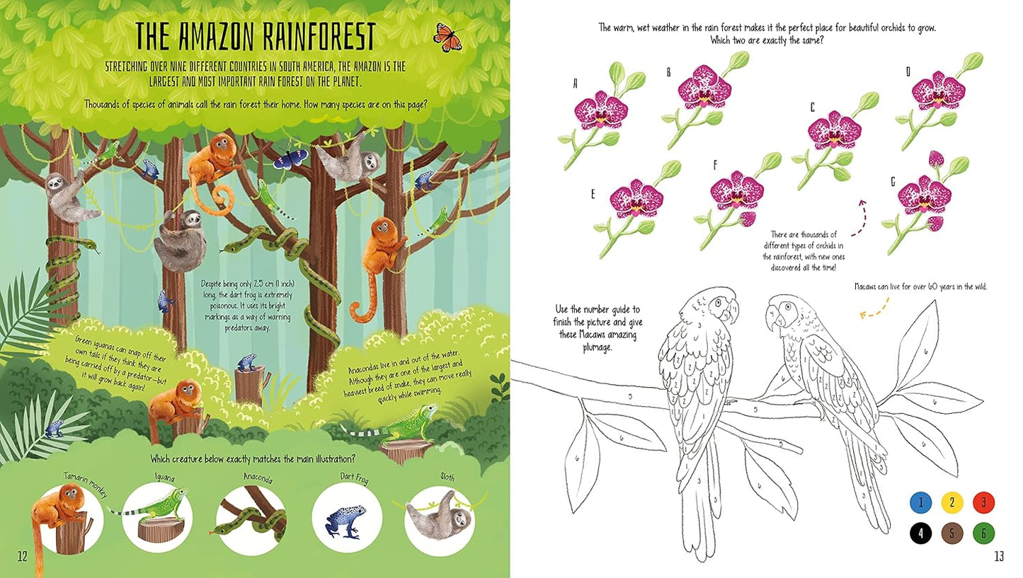 Wild World Activity Book