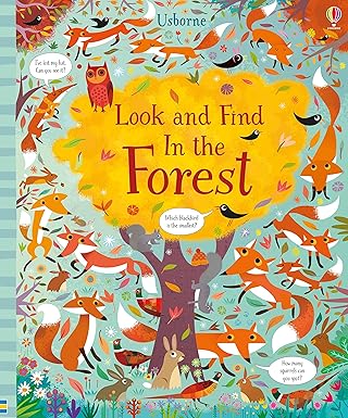 Look And Find In The Forest