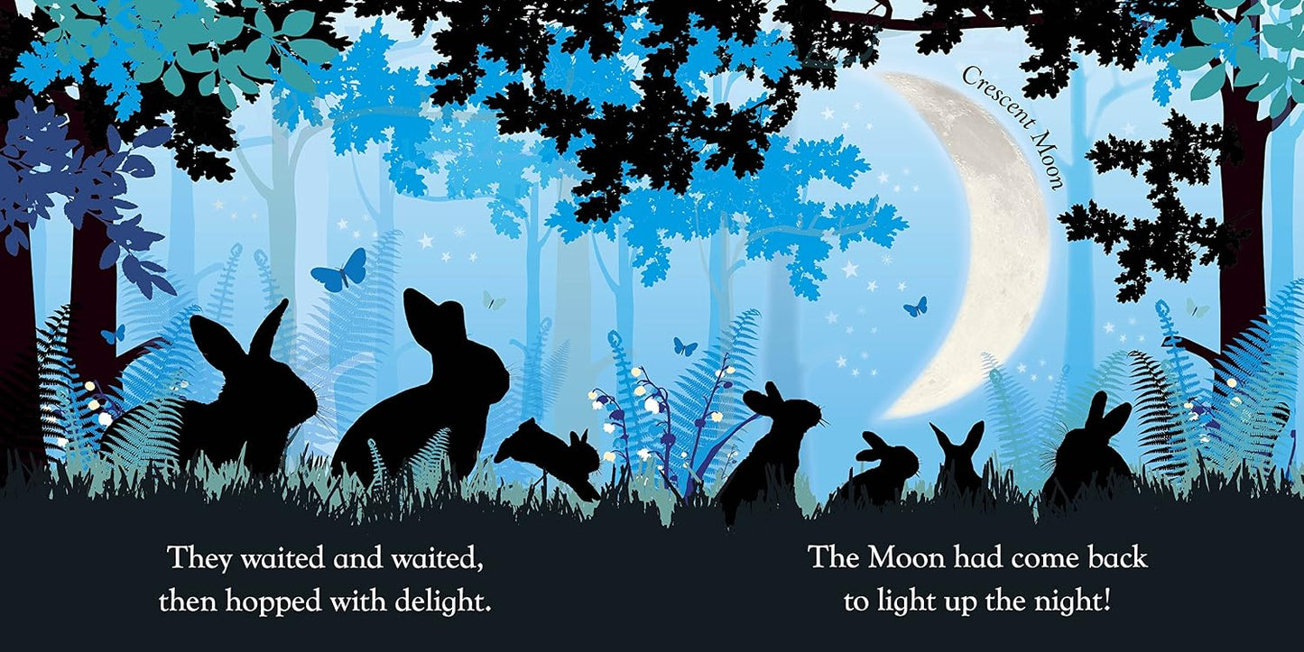 Goodnight Baby Moon