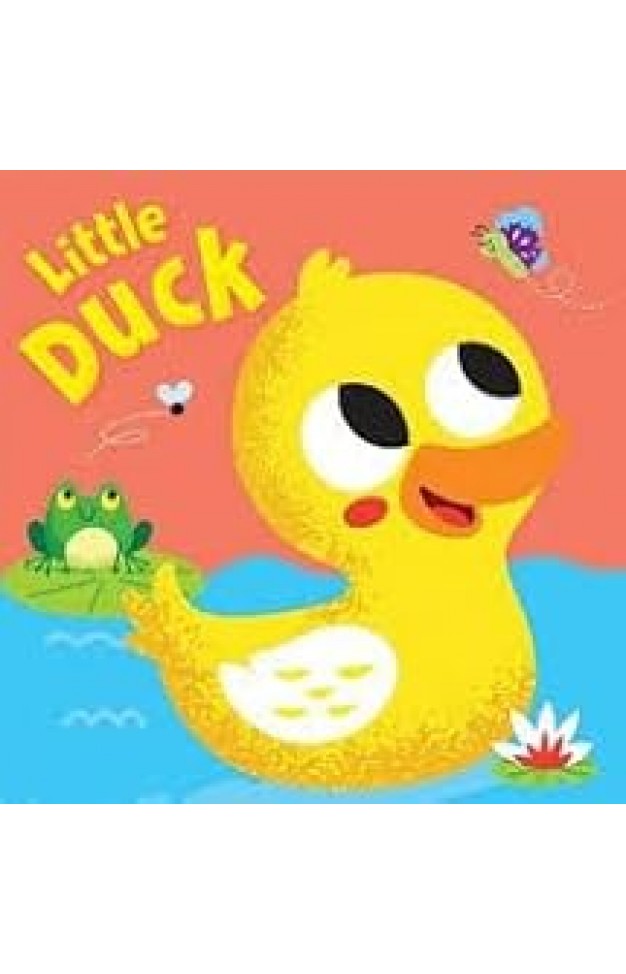 LITTLE DUCK