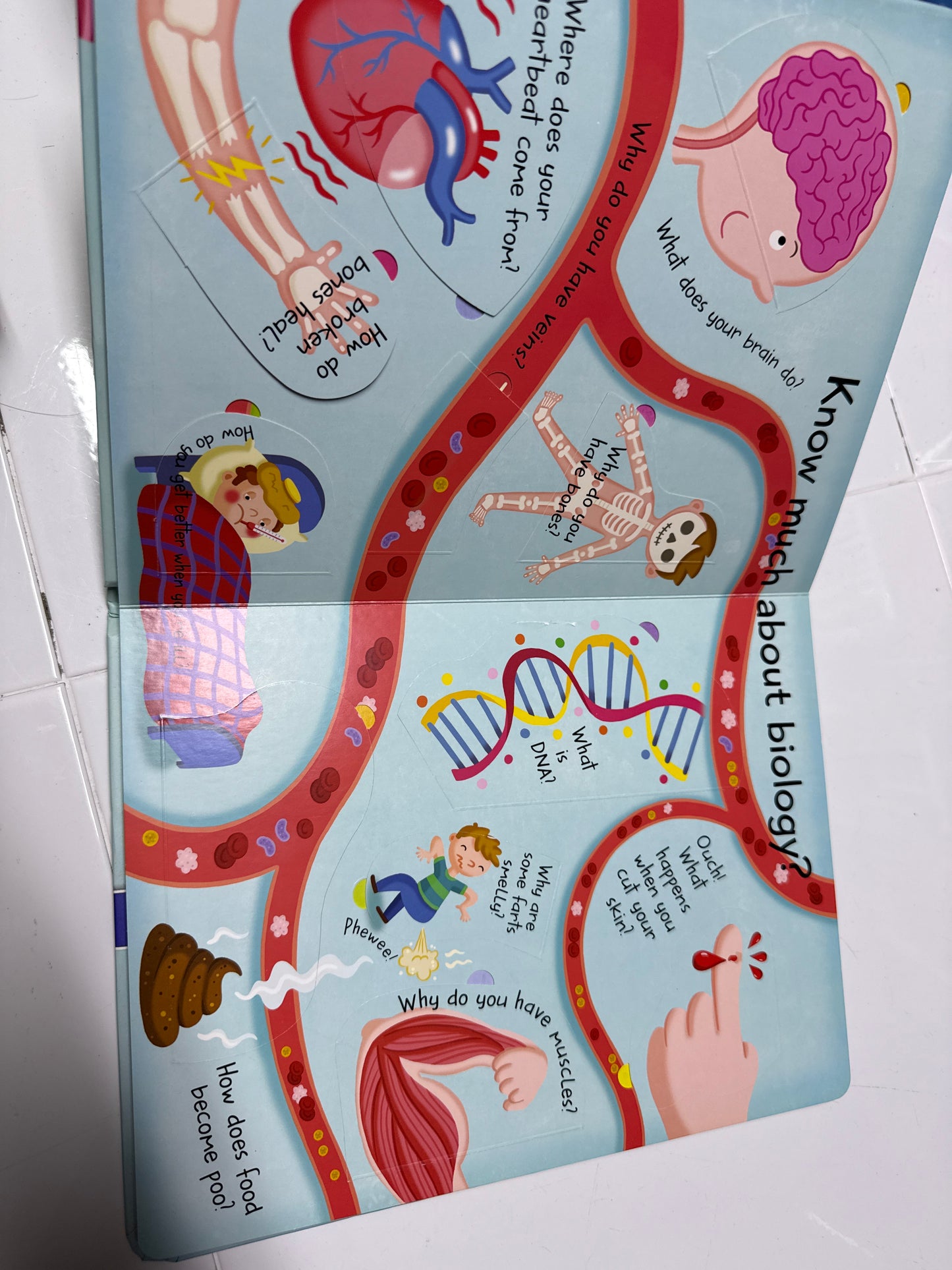 My Big Book of Answers: How Does it Work?  (Board book)