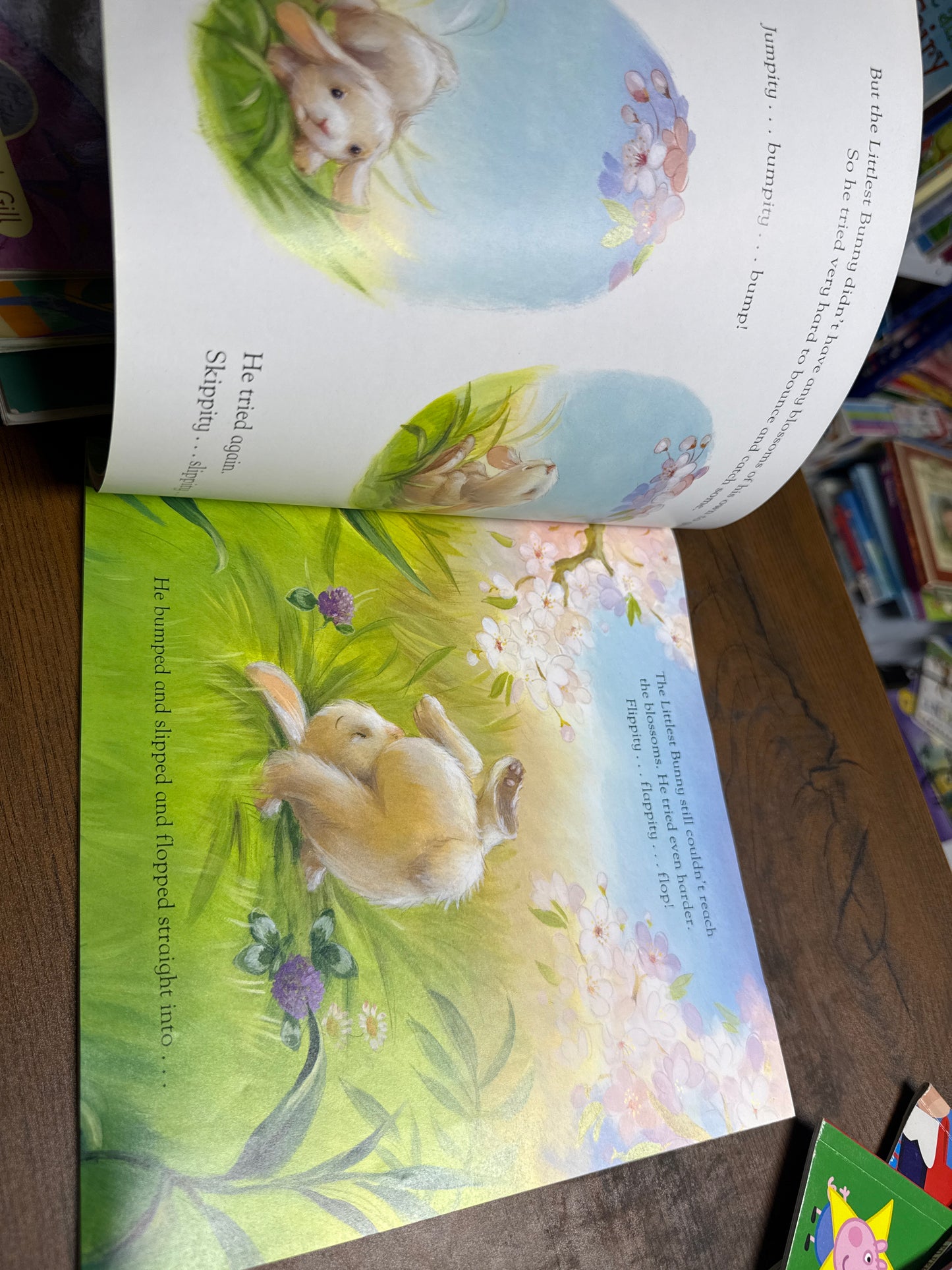 The Littlest Bunny