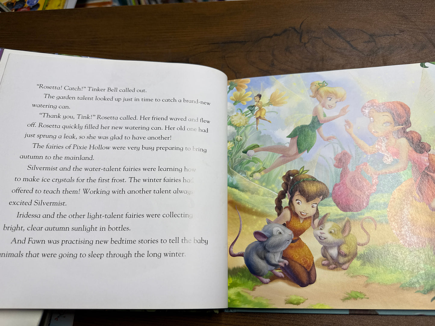 Disney Fairies Storybook Collection