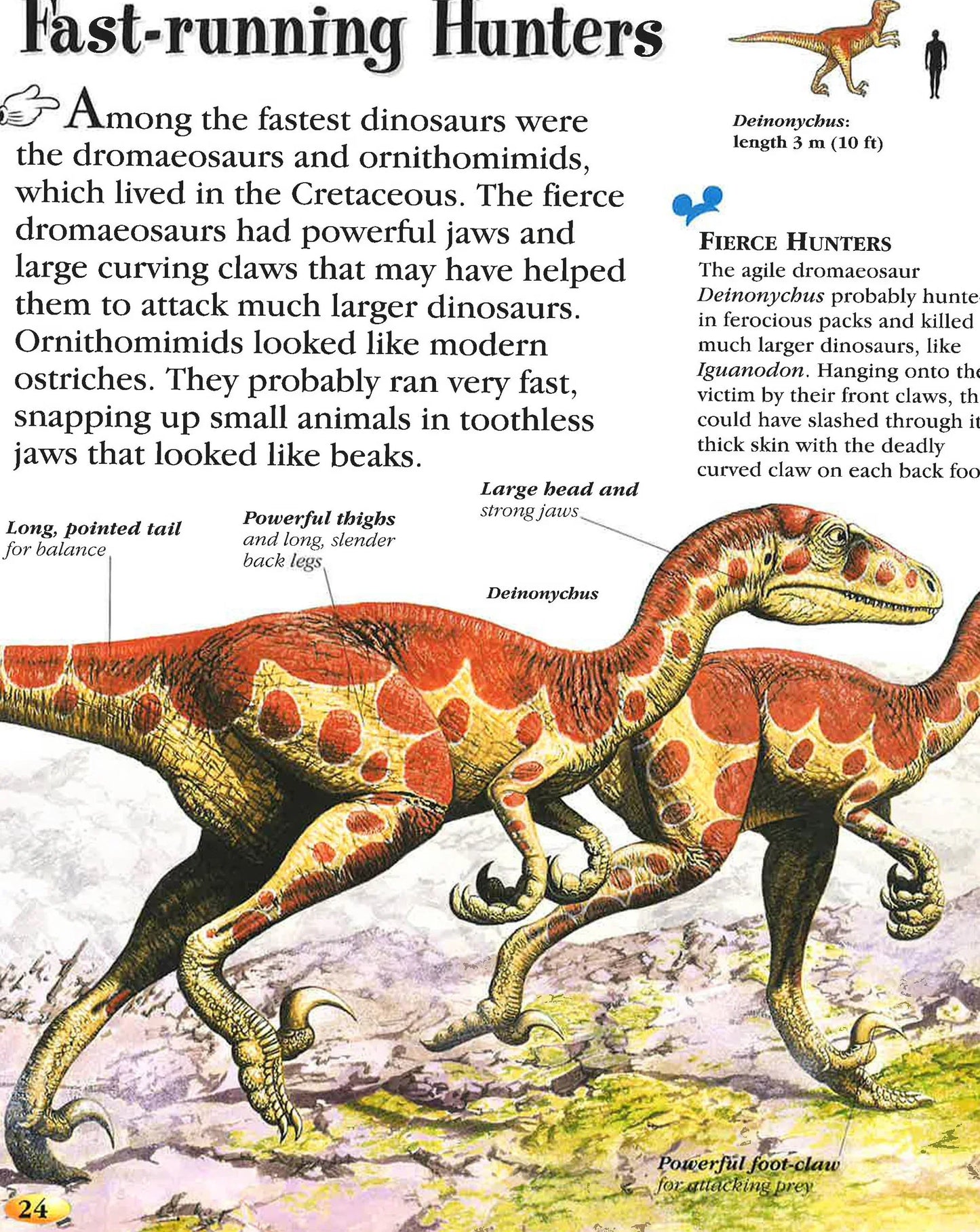 Disney: The Wonderful World Of Knowledge - Dinosaur