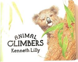 Animal Climbers (Board book)