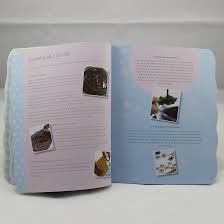 The Cupcake ( ADULT COOKING BOOK)