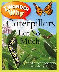 I Wonder Why Caterpillars Eat so Much