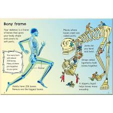 Your Body (Usborne Beginners)