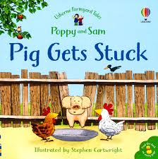 Pig Gets Stuck