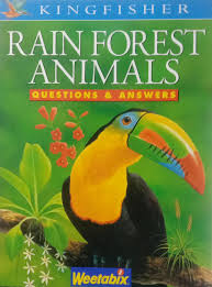 Rain Forest Animals (Questions & Answers)