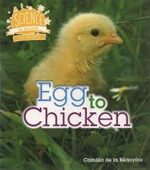 Science in Action - Egg to Chicken