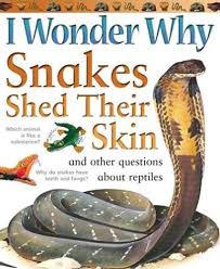 I Wonder Why Snakes Shed Their Skin: and Other Questions About Reptiles