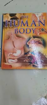 The Human Body