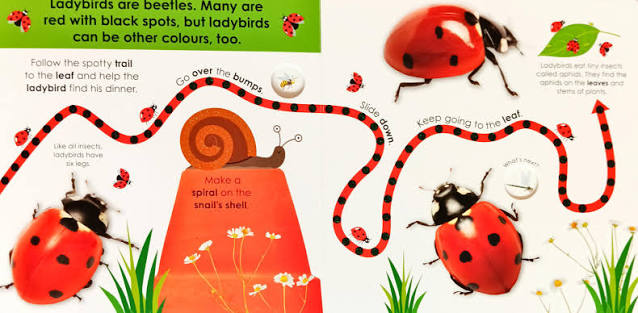 Follow the Trail Minibeasts: Take a Peek! Fun Finger Trails!
