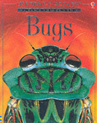 Bugs (Usborne Discovery)