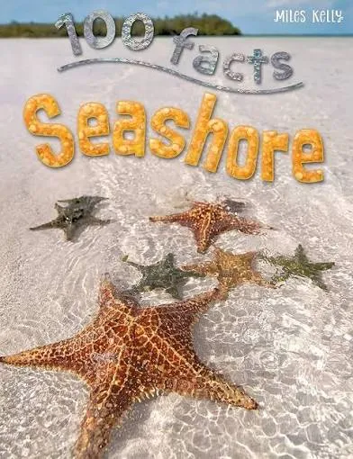 100 Facts Seashore