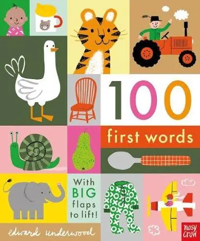 100 First Words (Board book)