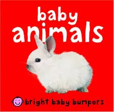 Baby Animal