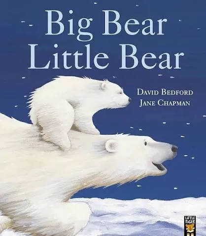 Big Bear Little Bear - book