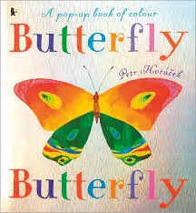 Butterfly Butterfly