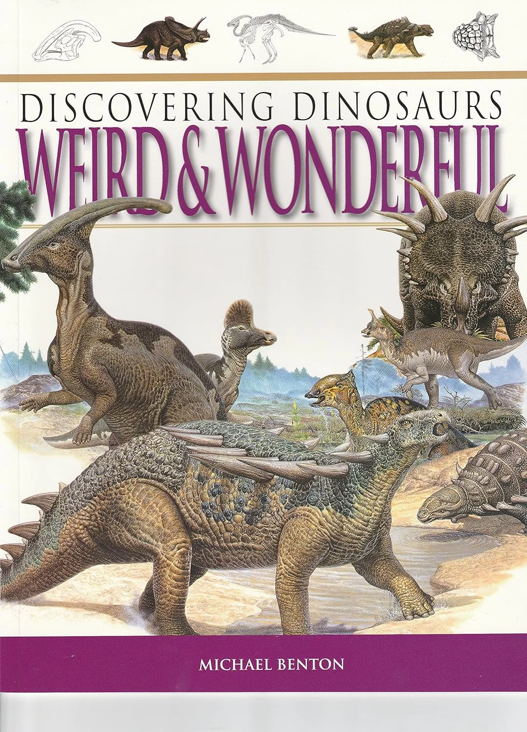 Discovering Dinosaurs Weird And Wonderful
